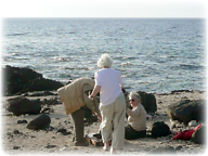 A close-up: Authors on Mauna Lani beach, setting up tools again, watched by Randa