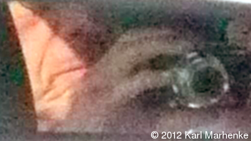 Photographer K. Marhenke in rear-view mirror